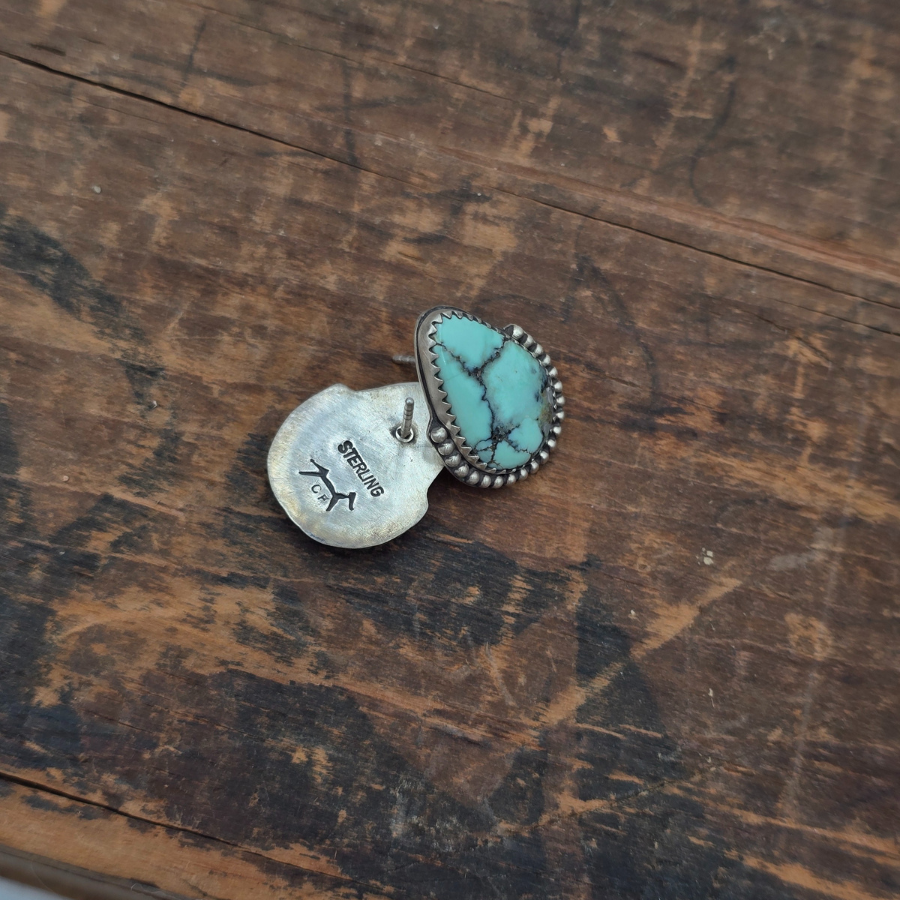 New Lander Variscite Teardrop Earrings