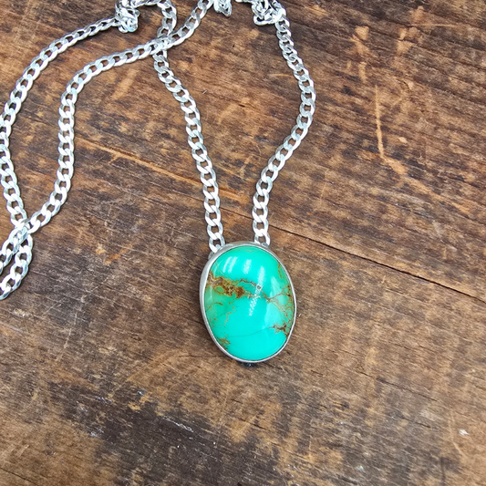 Natural Thunderbird Turquoise Necklace