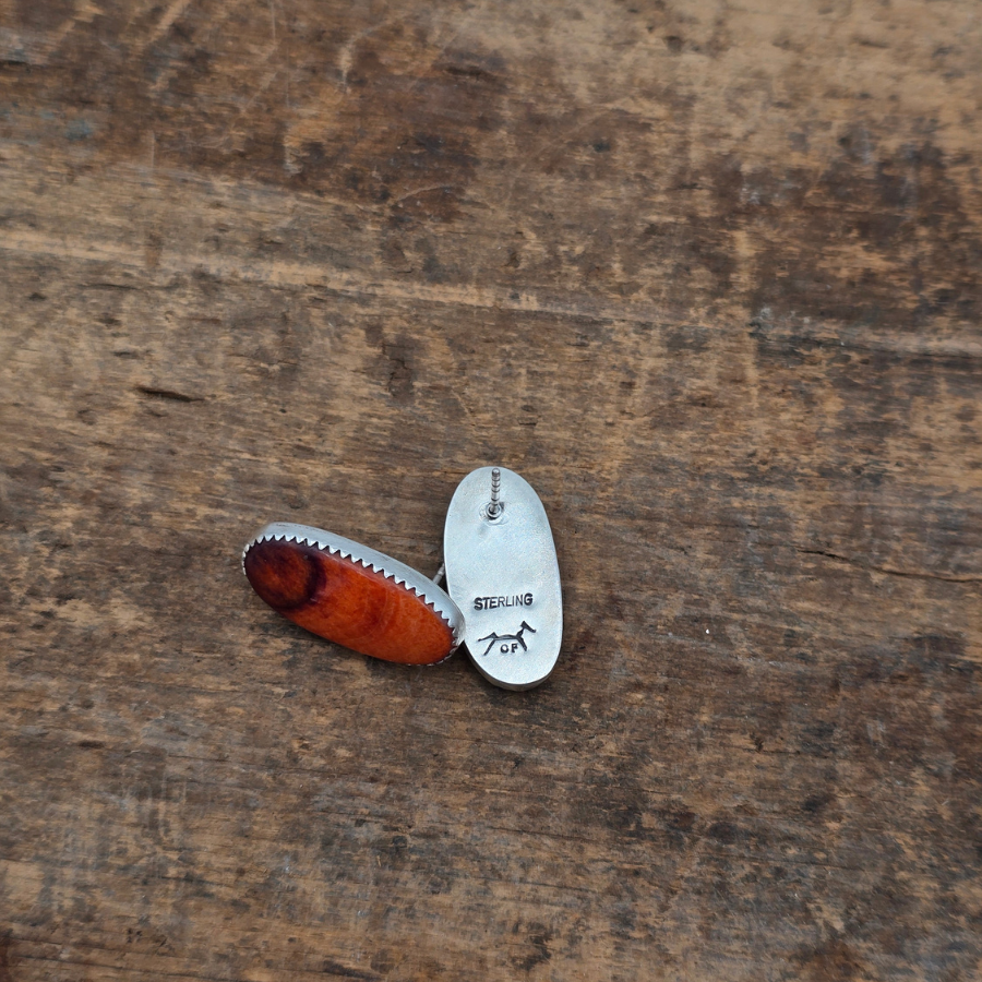 Orange Spiny Oyster Earrings