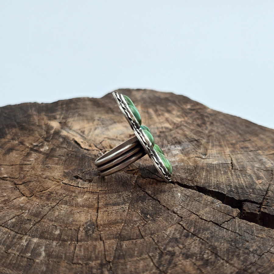 Sonoran Cluster Ring