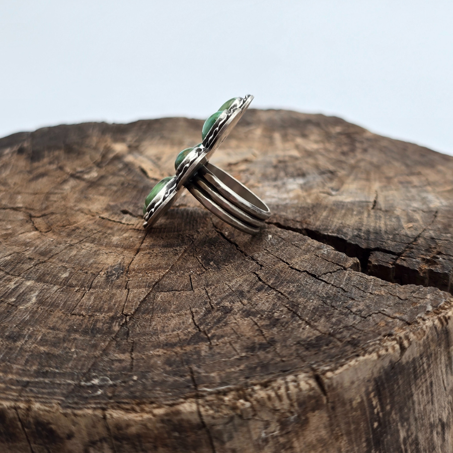 Sonoran Cluster Ring