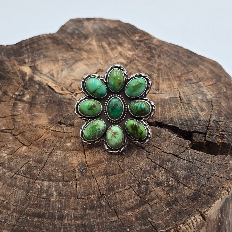 Sonoran Cluster Ring