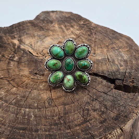 Sonoran Cluster Ring